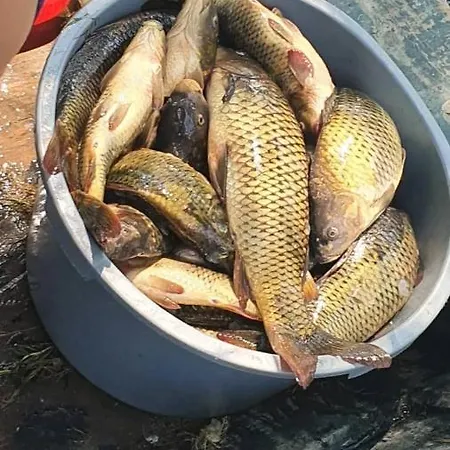 Karucki Krs 아파트